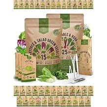 Organo Republic 15 Lettuce & Greens and 25 Winter Vegetable & Herb Seeds Variety Pack Bundle, 29,475+ Non-GMO Heirloom Garden Seeds for Planting Vegetables and Herbs for Indoor & Outdoor Gardening