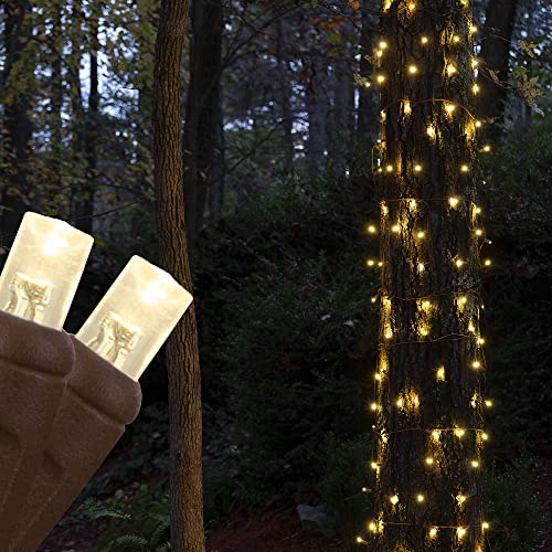 Top 10 Best Lights To Wrap Tree Reviews & Buying Guide Katynel