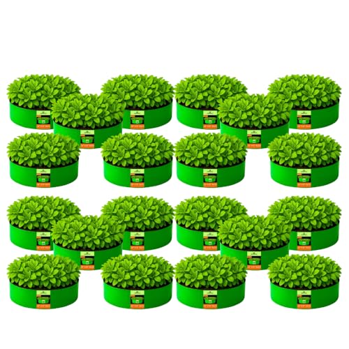 Image of Kingwell grow bags 24x9 inch pack of 20 Grow Bag For Terrace Garden Leafy Vegetable Plant Grow Bags Fruits Growing Containers For terrace Gardening