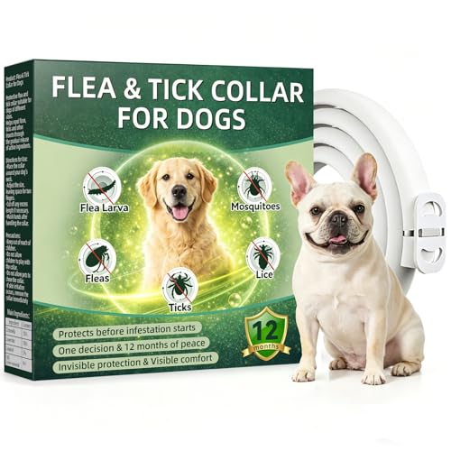 Collare Antiparassitario per Cani 65cm con Oli Essenziali di Citronella e Lavanda, Collare Antipulci Cane Naturale contro Pulci e Zecche, Adatto per Cani di Media e Grande Taglia