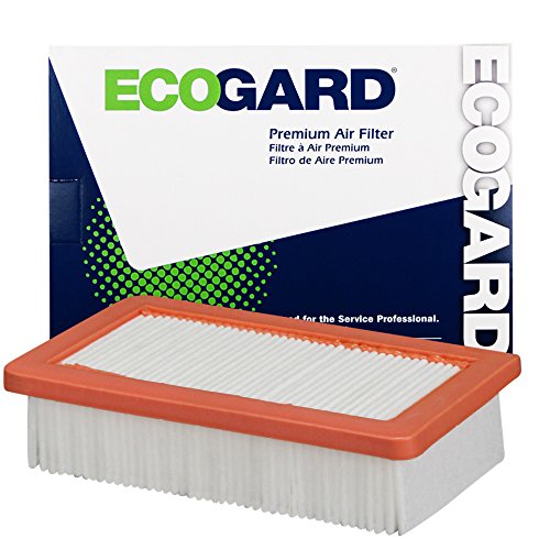 ECOGARD XA10587 Premium Engine Air Filter Fits 2016-2018 Smart Fortwo, Forfour