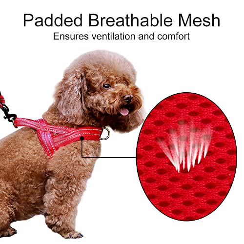 Image of Plutus Pet No Pull Dog Harness for Medium Sized Dog, Breathable Mesh Padded