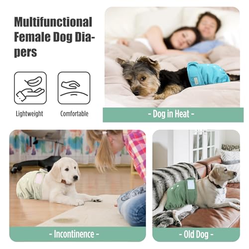 Image of wegreeco Female Dog Diapers, Washable Reusable Pet Puppy Doggie Diapers for Small Medium Large Female Dogs in Heat Period, Doggy Period Panties, 5 Pack, Medium, Blue Green