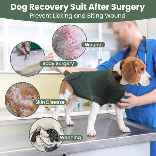 Image of IDOMIK Dog Recovery Suit for Neuter Spay,Anti-Licking Dog Surgical Bodysuit