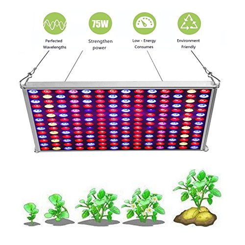 LED Grow Light for Indoor Plants,YGROW Upgraded 75W Growing Lamp Light Bulbs