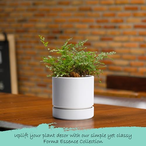 Phoenix Vine 4 Inch Planter Pot with Drainage Hole & Saucer, Deep Water Catch Tray, Straight Cylindrical Round Pot for Plants, Matte White, Pack of 2, 23-B-R-2 by Phoenix Vine - Image 6