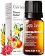 Gya Labs Ätherische Öle zum Stressabbau für Diffuser – 100 % reine ätherische Öle in therapeutischer Qualität für die Aromatherapie zur Entspannung, Beruhigung und bei Kopfschmerzen (10 ml)
