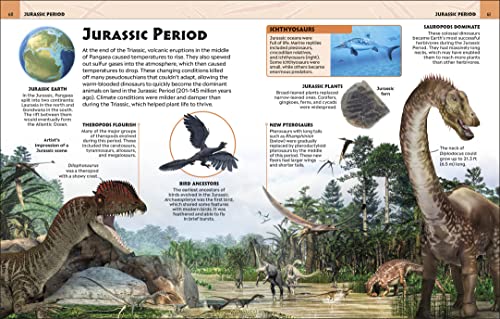 Extraordinary Dinosaurs and Other Prehistoric Life Visual Encyclopedia 4 51ngI HoIbL