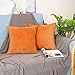 sykting Decorative Pillow Covers Solid Super Soft Short Plush Fuzzy Throw Pillow Covers for Bed Couch Chair Pack of 2 Square 18x18 inch Orange