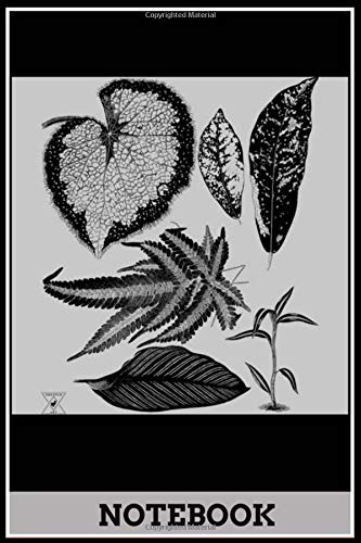 Plant Leaves  Botanical Garden Foliage Flora funny design notebook: 6x9 inch, 120 pages , useful to writing , doodle, diary …………..