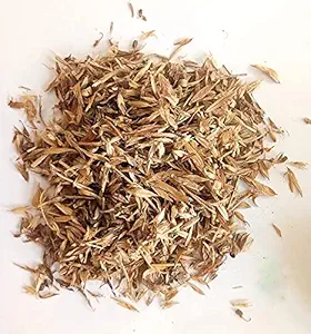 EasySeeds Stylo Hamata Grass, Fodder Grass Seed Pack of 400gm (Approx. 1000 seeds per packet)