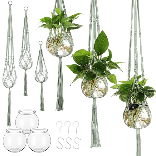 Colingmill 6 Pcs Plastic Plant Propagation with Boho Macrame Hanger Wall Plant Propagation Station Hanging Holder Include Hooks Kit for Indoor Home Garden Office Decor 3 Size (Sage Green)