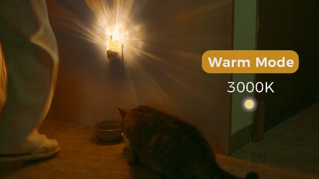 Image of DORESshop Cat Night Light [2 Pack], Kids Night Light with 8-Color RGB, Plug in, Dusk-to-Dawn Sensor, Rainbow LED Baby Night Light for Bathroom, Cute Room Decor,Boys Girls Gift