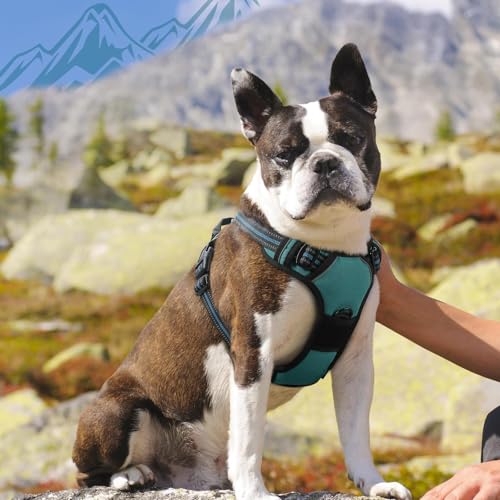 Eagloo Hundegeschirr mittelgroße Hunde, Anti Zug Hundegeschirr mit Reflexstreifen und Kontrolle, Einstellbar und Langlebige Brustgeschirr Hund, Geeignet zum Gehen und Joggen, Dunkelgrün, M