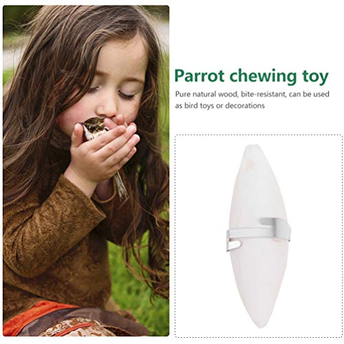 POPETPOP 12 Stuks Cutbone Kauwspeeltje Reptielen Cutbone Speelgoed Om Te Kauwen Cuttlebone Kies Speelgoed Stekelbeenderen Van Papegaaien Vogel Calciumblok Inktvis Tijger Huid Metaal Wit - Afbeelding 7