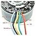 5520 External Rotor Brushless Motor DC 24V High Torque Support PWM Speed Regulation for Fascia Gun Brushless Motor