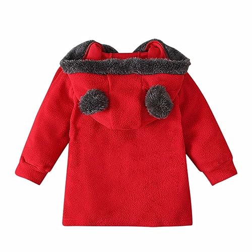 Fleece Bear Ears Hooded Coat for Toddler Girls Zip Up Solid Color Soft Brushed Jacket Kids Boys Thick Warm Outwear2
