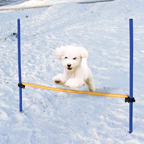 NAMSAN Outdoor Dog Agility Training Equipment, Agility Training Set for Dogs, Pet Jump Hurdle bar