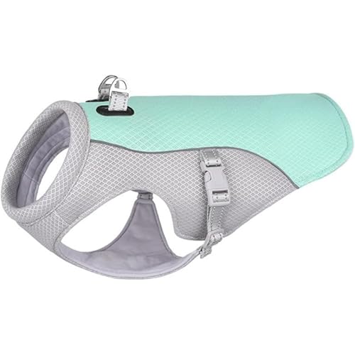 ZLBYXLU   pxXg  ^^ppxXg }p M˕a΍ AEghA s g[jO oR (D,2XL)