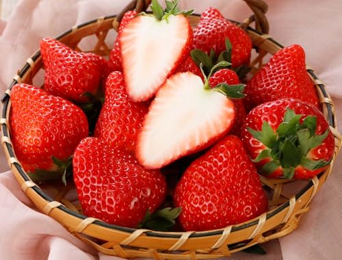 򕌎Y  Z 400g ϔ  C`S