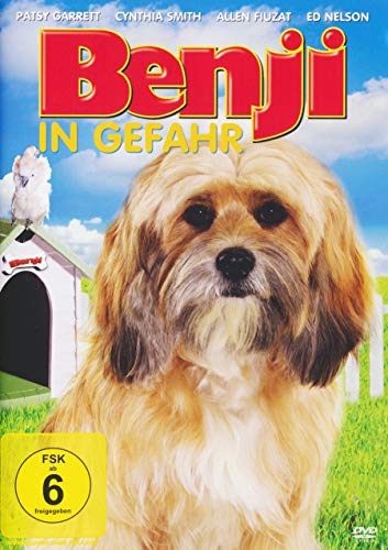  Benji in Gefahr