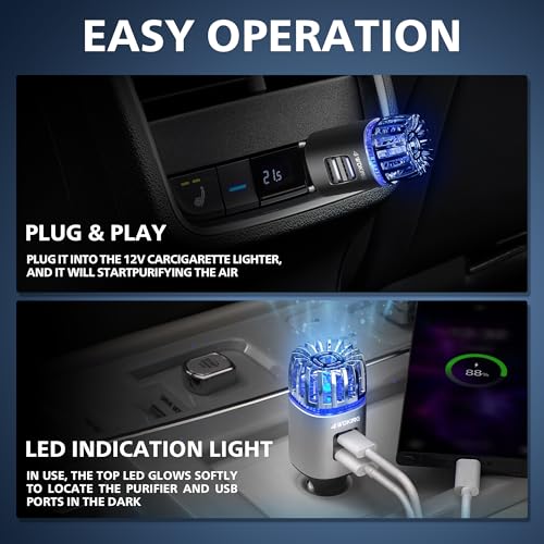 4WDKING Ionizer with Dual USB