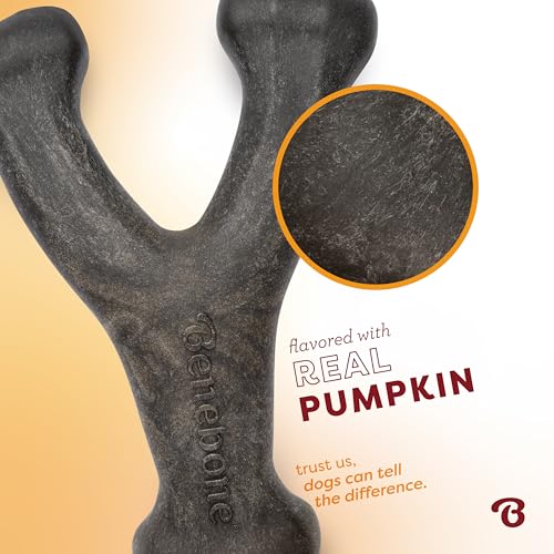 Image of Benebone Pumpkin Spice Wishbone - Limited Edition Flavor, Durable Dog Chew Toy for Aggressive Chewers, Made in USA, Large