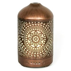 Earnest Living Essential Oil Diffuser Metal Diffuser 100 ml Timers Night Lights and Auto Off Function Home Office Humidifier Aromatherapy Diffusers for Essential Oils Gift