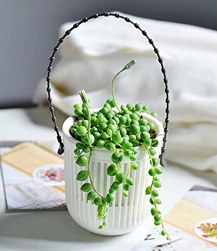 Melphoe 3.5‘’ Two-Piece Succulent Planters Pots With Drainage, Flexible Removable Handle, Planting Pots Flower Pots Small Planter Pots For Mini Plants Hanging Planter On Wall Or Window 6 Pcak-White #TOP3