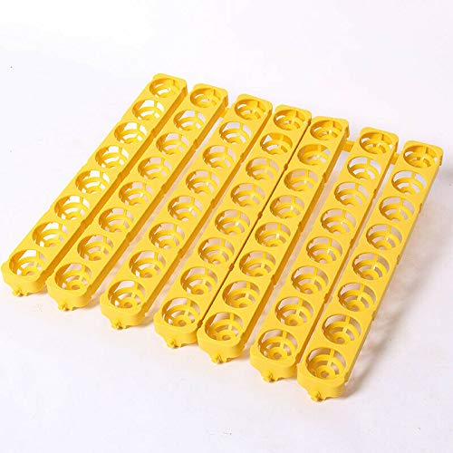 SHZICMY Incubator, volautomatische broedmachine, 55 eieren, broedmachine voor kippen en kippen - Afbeelding 6