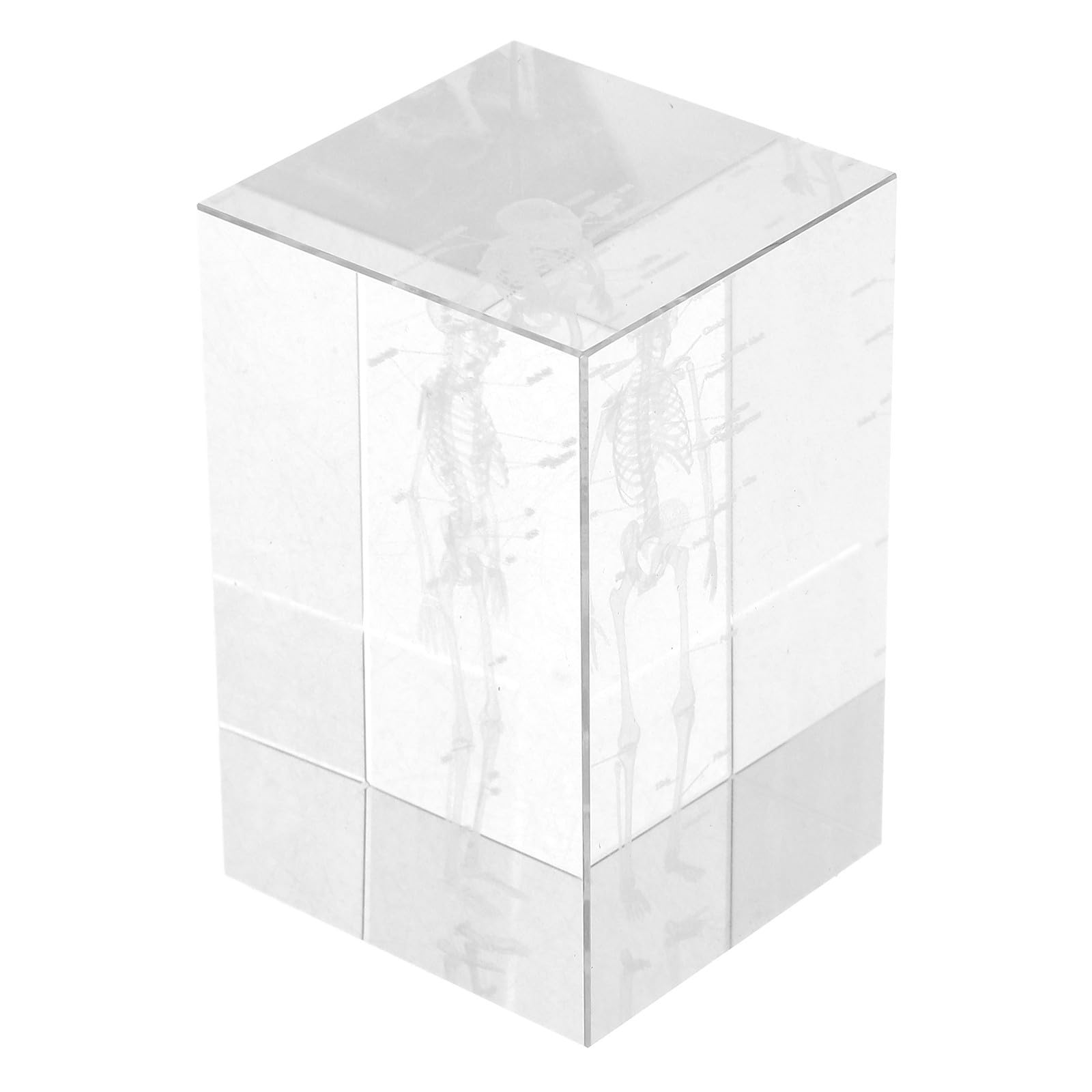 Squelette en cube 3D pour réviser l'anatomie sur son bureau de médecine - 8