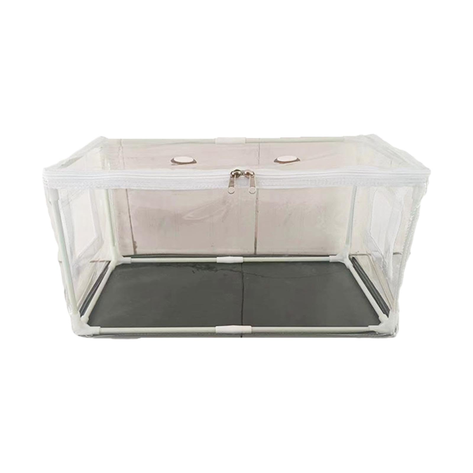 Kit de Culture de Champignons Portable à Faire Soi-même (50 X 25 X 25 Cm)