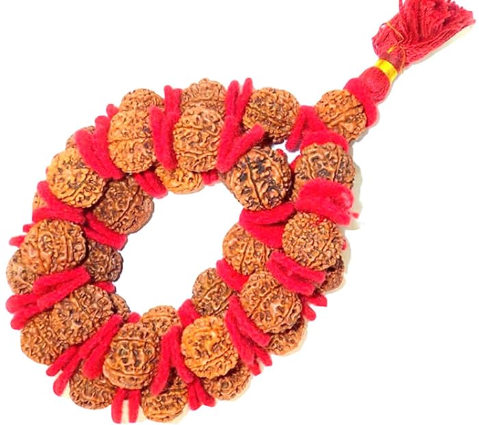 ???? ???? 54 Bead Kantha Mala 5 Mukhi Nepali Rudraksha Original Certified Rudracham Kantha Mala Nepali Panchmukhi Rudraksh Mala Big 5 ???? ????????? ?????? ????????? ???? ??? ??? by 9STARS GALLERY (B0CV9PHYCX) Amazon Price History, Amazon Price Tracker