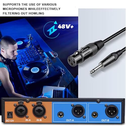 Feedback Suppressor, procesador de audio 2 in 2 Out, supresor de retroalimentación para micrófono con shift de frecuencia, interfaz 6.35/XLR para escenario y conferencias miniatura 4