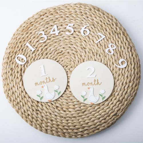 Image of Goose Monthly Milestone Cards - Wooden Discs & 3D Baby Monthly Milestone Signs for Baby Shower & Announcement