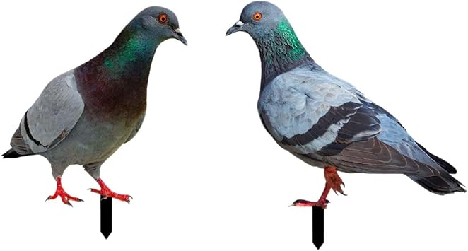 2X Pigeon Statues Garden Stakes Animal Sculptures Decorative Lifelike,Bird Figurines Ground Insert,Yard Art for Outdoor Decor
