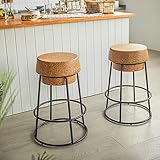 WAQAQM Champagne Cork Bar Stools,Counter Height Kitchen Stools with Footrest for Kitchen,Bar,Set of 2 (29.52inch)