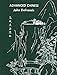 Advanced Chinese (Yale Language S)