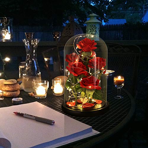 Christmas Day Flowers Gifts for Women,Beauty and The Beast Rose,Artificial Silk Rose Preserved Forever in Glass Dome,Anniversary,Thanksgiving,Birthday Gifts Flower Roses Gifts for Mom Wife Girlfriend - Image 4