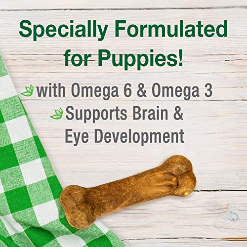 Image of Nylabone Healthy Edibles Puppy Dog Treats, Lamb & Apple Flavor, 3 Count | Natural puppy treats, USA made, highly digestible, vet recommended, small dog treats for puppies up to 25 lbs