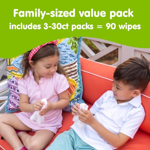Image of Boogie Antibacterial Hand Wipes - 90 Count - Hypoallergenic & Alcohol-Free - Individually Wrapped - Travel and Diaper Bag Essential