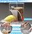 Bird Parrot Feeders, No Mess Automatic Cage Feeder Dispenser Food Container, Auto Bird Seed Bowl for Small Medium Birds, Cockatiel Canary Cockatoos Parakeet Conure Lovebird, Acrylic Clear (Feeder)
