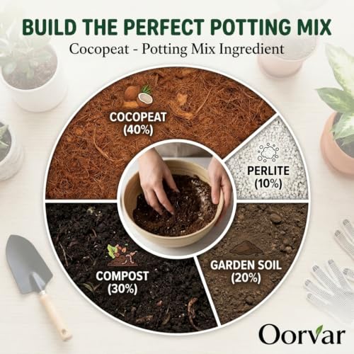 Image of Pure Cocopeat Powder Ready to Use 450 gm. Perfect Coco Soil for Potting Mix. Natural Coconut Coir Fibres by Oorvar