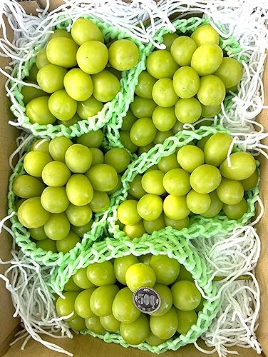 Premium シャインマスカット 特秀品 大粒 約3.0kg