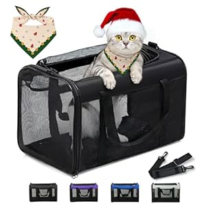 Conlun Katzentransportbox,Weiche Katzentransporttasche mit 4-seitigem Netz, Flugzeugtaugliche Katzentasche für Kleine&Mittelgroße Katze Kätzchen Welpen bis 6 Kg, Hundetransportbox Faltbar-M, Schwarz