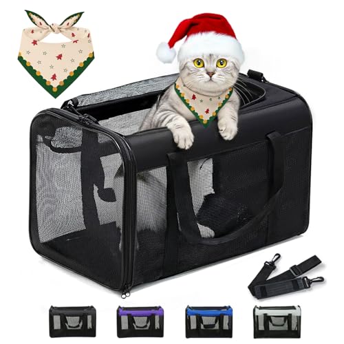 Conlun Katzentransportbox,Weiche Katzentransporttasche mit 4-seitigem Netz, Flugzeugtaugliche Katzentasche für Kleine&Mittelgroße Katze Kätzchen Welpen bis 6 Kg, Hundetransportbox Faltbar-M, Schwarz Conlun Katzentransportbox,Weiche Katzentransporttasche mit 4-seitigem Netz, Flugzeugtaugliche Katzentasche für Kleine&Mittelgroße Katze Kätzchen Welpen bis 6 Kg, Hundetransportbox Faltbar-M, Schwarz