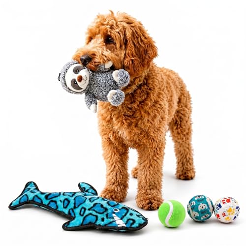 Set de 5 juguetes sonoros de felpa para perros