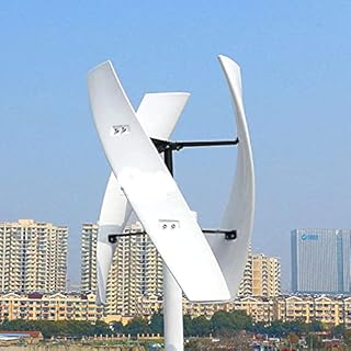 Vertical Axis Wind Turbine with Inverter and Controller for Home Energy Generation