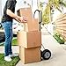 Olympia Tools 800 Lb Steel Hand Truck with D Handle and 10