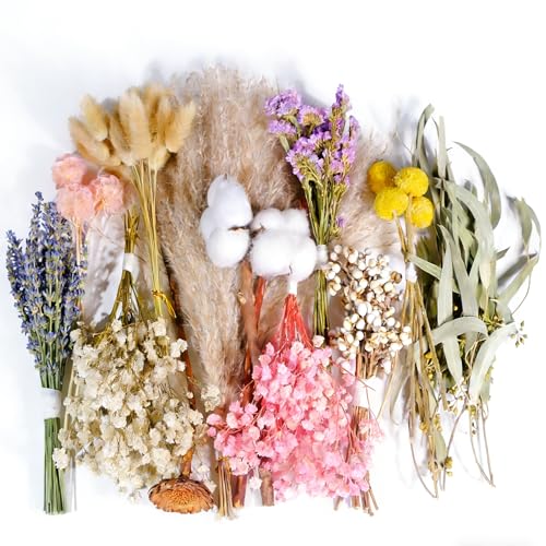 12 Kinds Natural Dried Flower Set Bulk Dried Flowers for Vase Mini Dried Flower Bouquets Dried Flowers with Stems for DIY Crafts Vase Decor Home/Wedding/Birthday Decor(8.7-13.8in Flexible Stems)